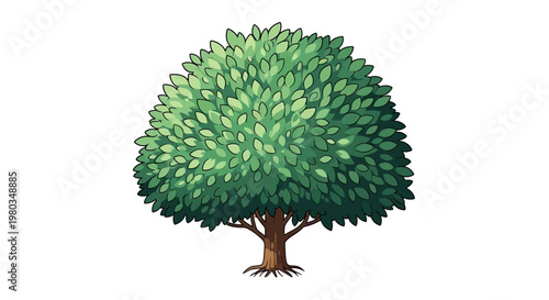 A Lush Green Tree with a Full Canopy of Leaves.