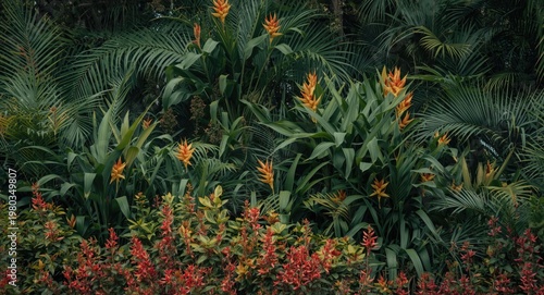 Tropical plants and vibrant flowers in full bloom showcasing lush palms and colorful blossoms