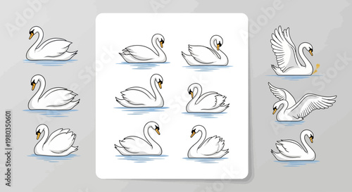 Collection of white swan illustrations.