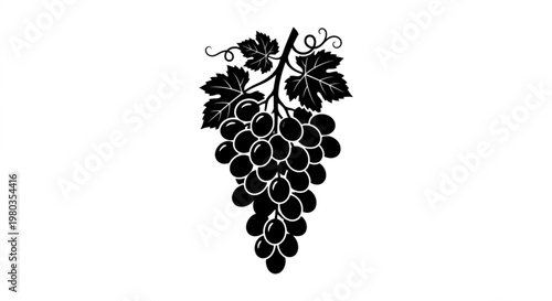 Black Grape Bunch with Leaves Silhouette Vector Illustration Isolated on White