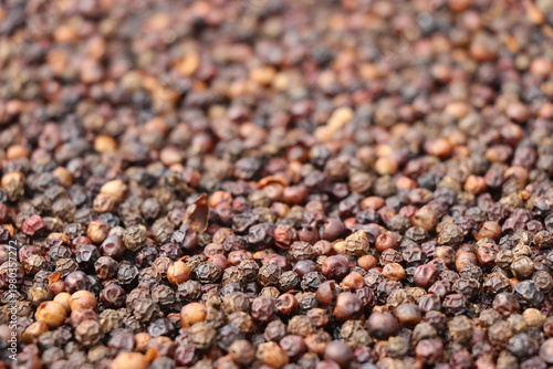 View of pepper corns kept for drying in the sun which later will be powdered and used in spices or for medicinal purposes