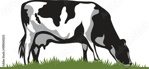 Black and white cow grazing on green grass