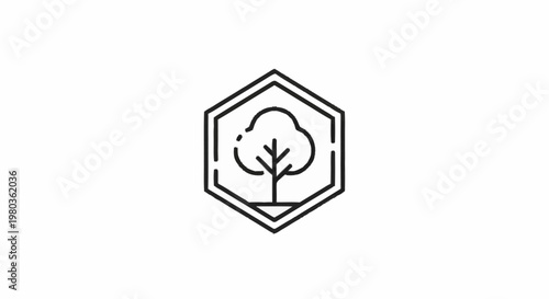 Minimalist tree icon inside a hexagonal frame.