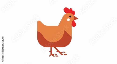 Cartoon chicken standing on white background.