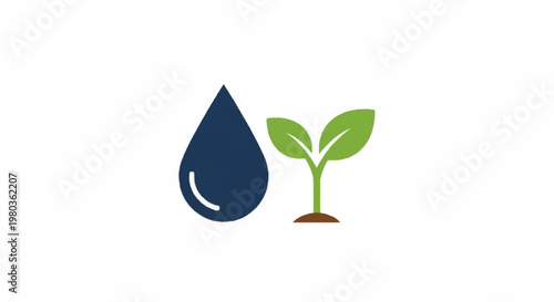 Water Drop and Young Plant Growing from Soil.