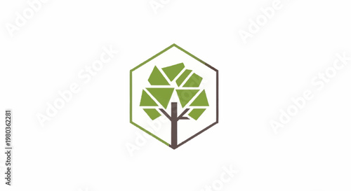 Geometric Tree Logo Design Inside Hexagon.