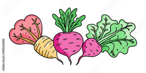 Colorful root vegetables doodle set with turnip beet and radish hand drawn