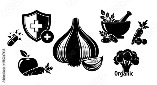Garlic Health Vector Icons – Herbal, Organic & Immune Boost