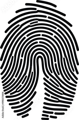 Black and white human fingerprint vector illustration, detailed biometric identification thumbprint icon isolated on white background, security and forensic science concept