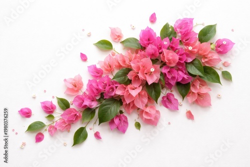 Artistic arrangement of bougainvillea petals with green leaves on a clean white backdrop for creative floral design