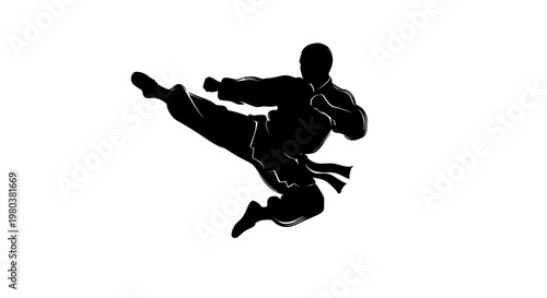 Martial Arts Silhouette: Dynamic Karate Kick in Mid-Air