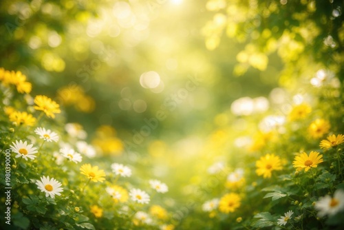 Blurred bokeh summer background with yellow and white flowers and lush green leaves for copy space