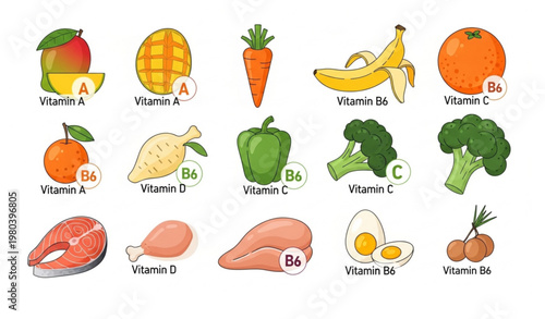 Balanced diet vitamin food collection healthy nutrition vector