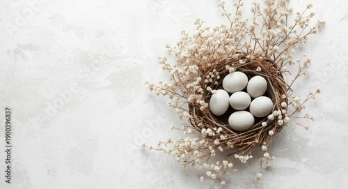 Soft textured background supporting a serene Easter nest with gray eggs and dried floral twigs for minimalist decor