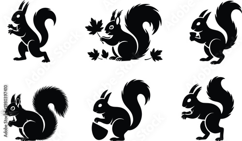 Black silhouettes of squirrels in various poses animal wildlife