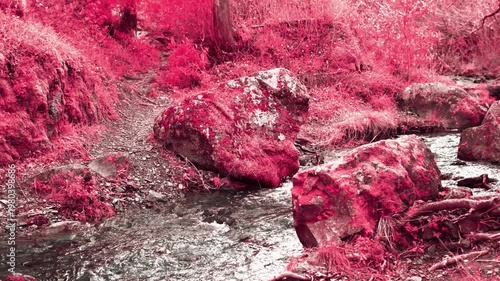 Exotic Creek in Infrared