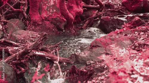 Exotic Creek in Infrared