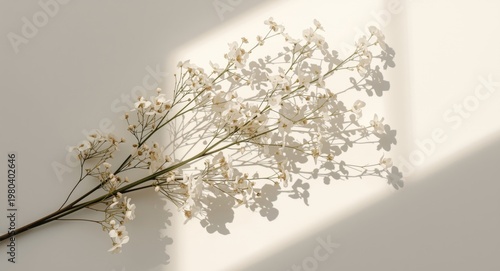 Soft shadow play on minimal...