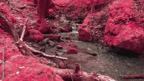 Exotic Creek in Infrared