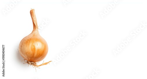Welsh onion placed on immac...