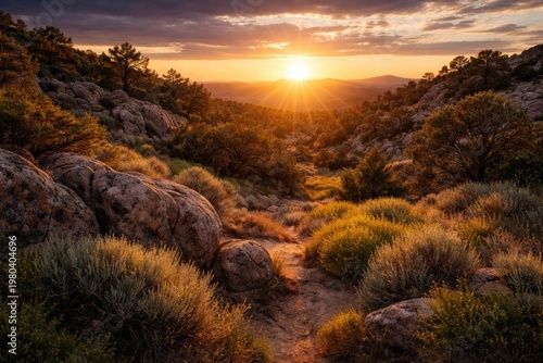Scenic rocky shrub landscap...