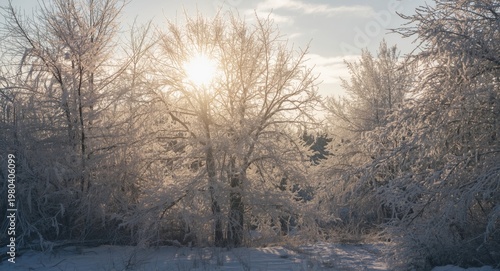 Winter wonderland image fea...