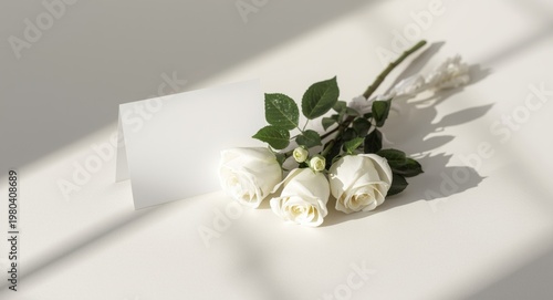 White floral communion rose...