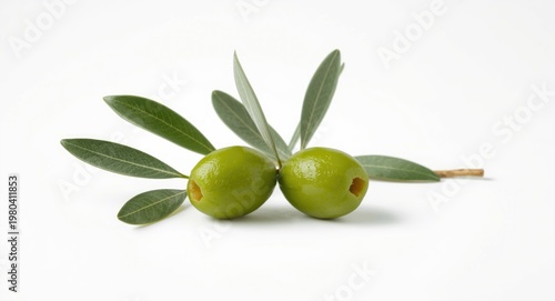 Two fresh green olives on olive branch with minimalistic white backdrop