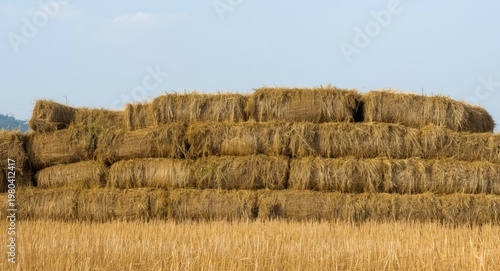 Stacked straw bales highlig...