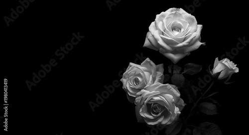 Timeless monochrome image o...
