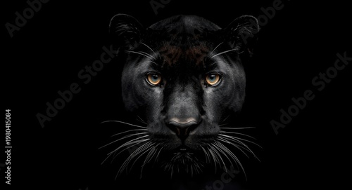 Close portrait of a black p...