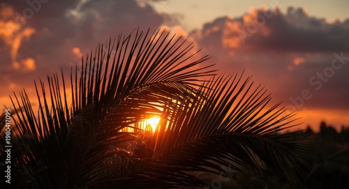 Sunset casting warm light t...