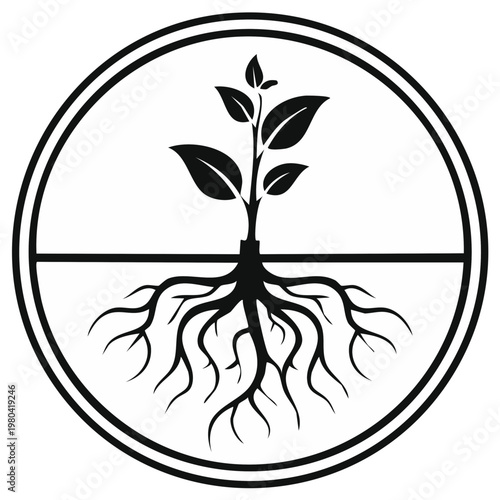 Stylized Black and White Icon of a Growing Plant with Extensive Roots in a Circle