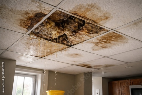 Water damaged ceiling panel...