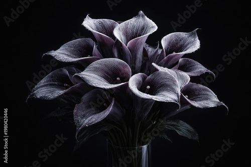 Sophisticated dark calla li...