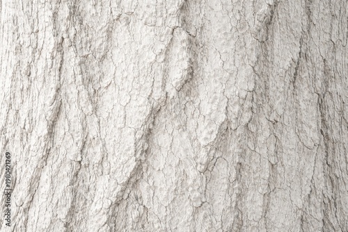 Minimalist background featu...