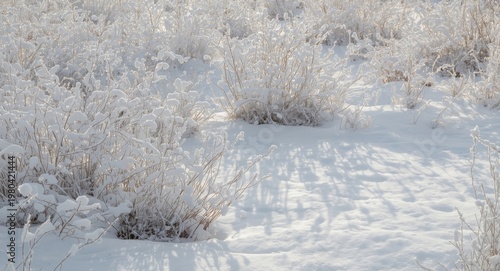 vast winter wilderness with...