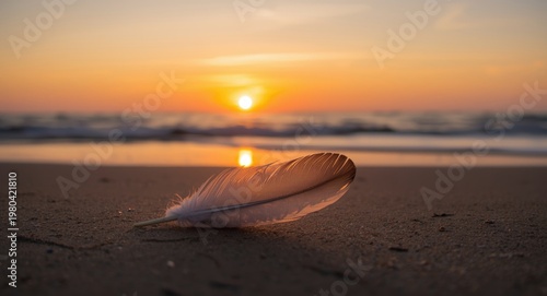 Sunset serenade by the ocea...