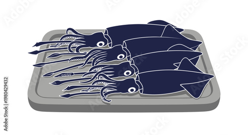 Raw Squid on Baking Tray, Seafood Ingredient, Dark Blue Tentacles, Simple Illustration