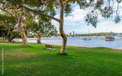 Bilde på lerret Eucalypt trees and park bench on grassy lawn overlooking Swan River with boats,