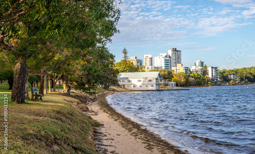 Quadro su tela Eucalypt tree and bench on sandy shoreline overlooking city skyline across Swan