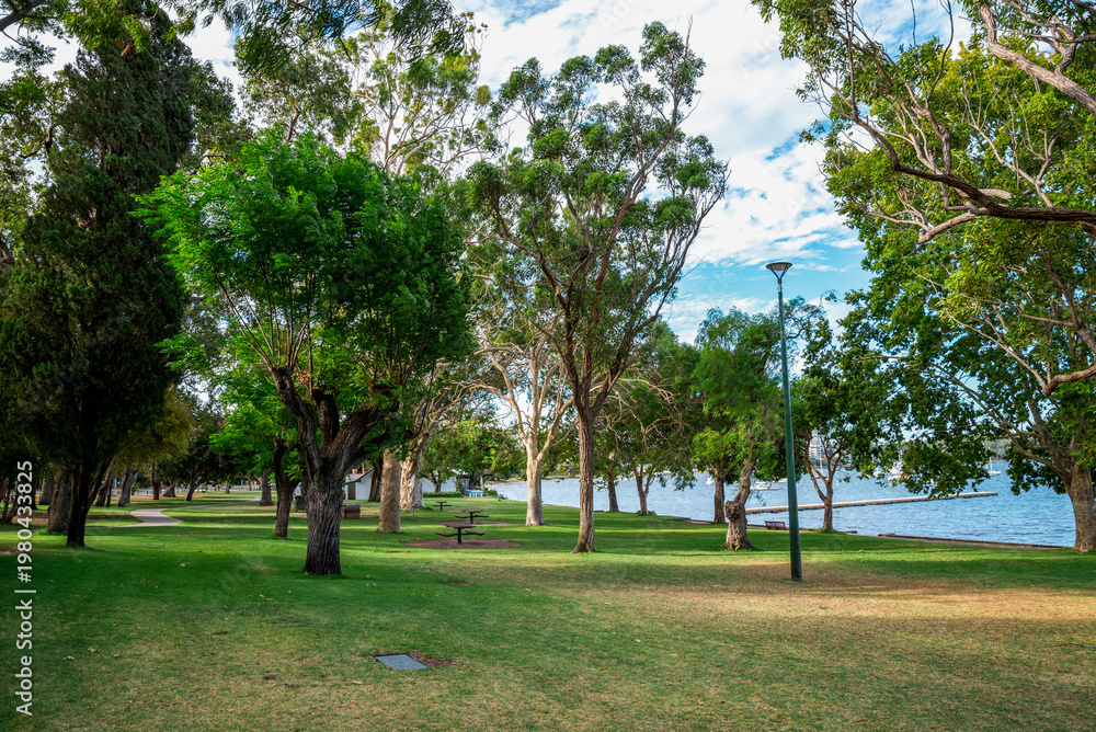Obraz premium Lush green lawns and eucalypt trees beside Swan River in Matilda Bay Reserve, Perth, Australia, 2 February 2022