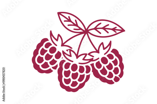 Three red raspberries with green leaves on a white background red berries fruit