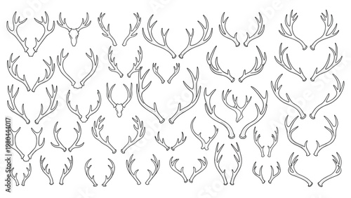 Comprehensive collection of deer and elk antler sketches offers a wide variety of shapes and sizes for nature-inspired art.