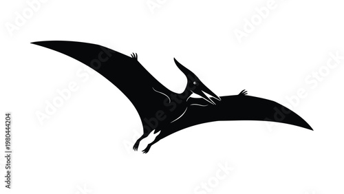 Solid black silhouette of a prehistoric pterodactyl dinosaur flying through the air with its large wings fully extended on white background.