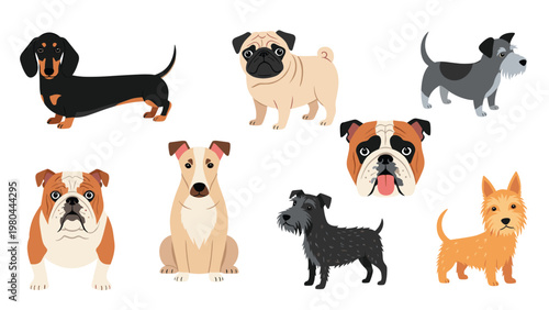 Collection of different dog breeds including a dachshund, pug, bulldog, and terriers shown in various poses from side and front views.