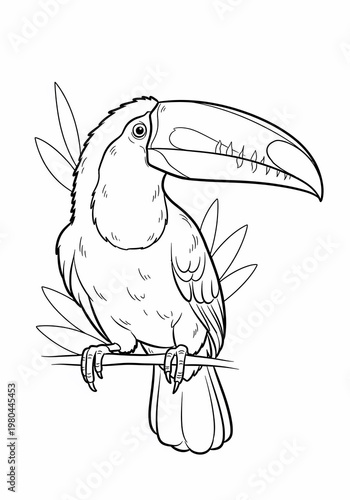 Vibrant Line Art Toucan Perched on Branch, Tropical Foliage Outline