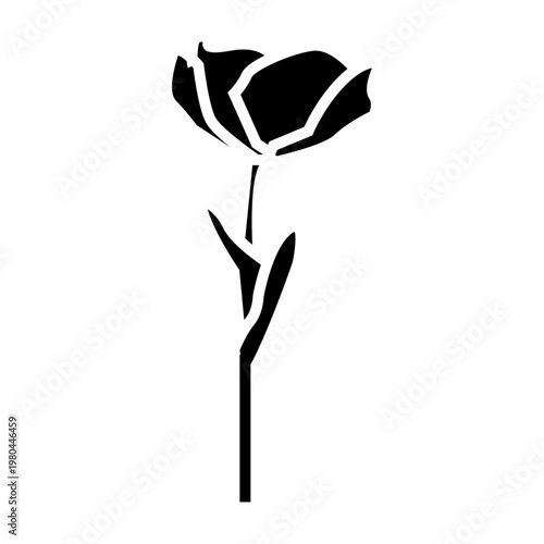 Glyph solid black style art tulip flower illustration vector, representative flower theme.