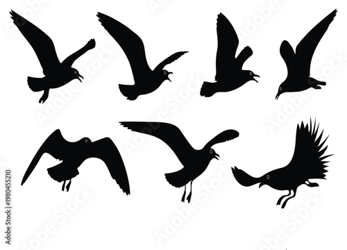 Seven black silhouettes of birds in different flying positions on white background