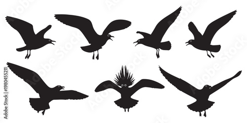 Setofsevensilhouettesofbirdsindifferentflightpositions